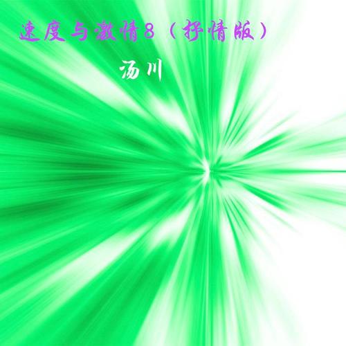 速度与激情8（抒情版）