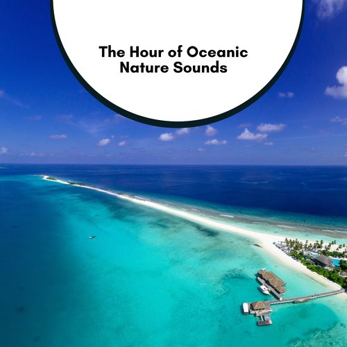 The Hour of Oceanic Nature Sounds