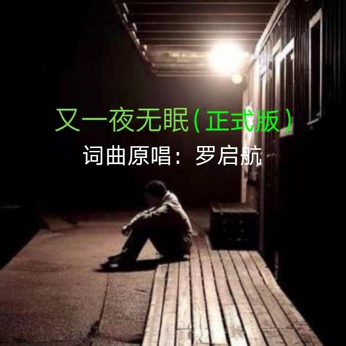 我又一夜无眠(DJ版）