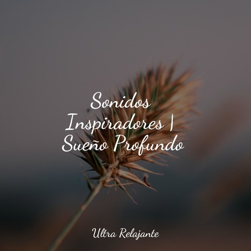 Sonidos Inspiradores | Sueño Profundo