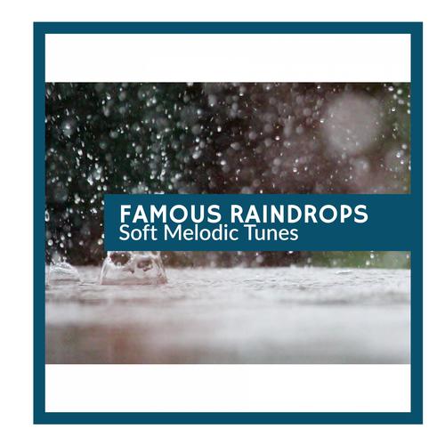 Famous Raindrops - Soft Melodic Tunes