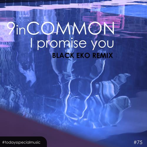 I promise you (Black Eko Remix)