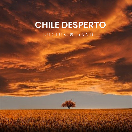 Chile despertó