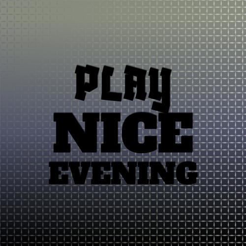 Play Nice Evening