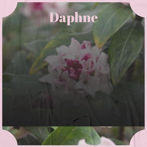 Daphne