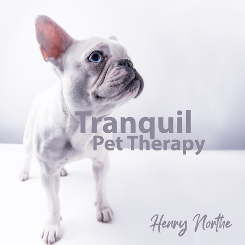 Tranquil Pet Therapy