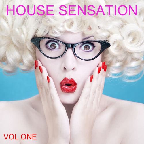 House  Sensation, Vol. 1 (Selected By Paolo Madzone Zampetti)