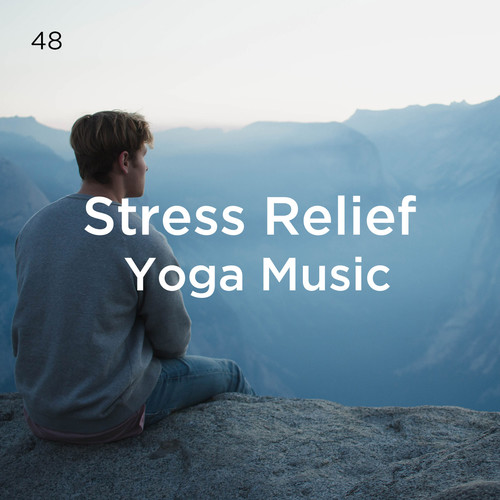 48 Stress Relief Yoga Music