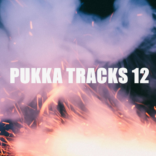 PUKKA TRACKS 12