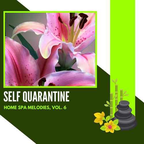 Self Quarantine - Home Spa Melodies, Vol. 6