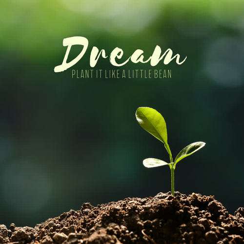 Dream – Plant it Like a Little Bean