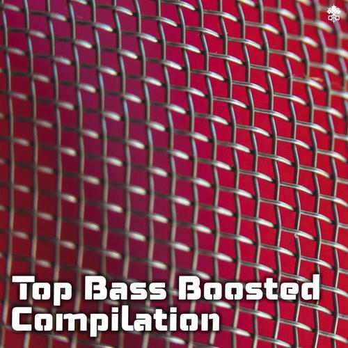 Top Bass Boosted Compilation