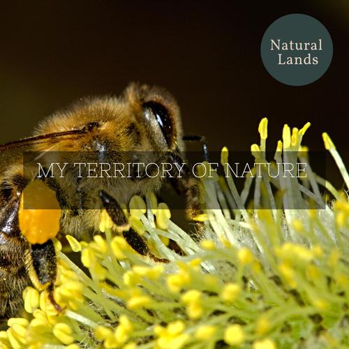 My Territory of Nature
