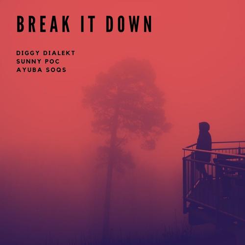 Break It Down (feat. Sunny POC & Ayuba SOQS) [Explicit]