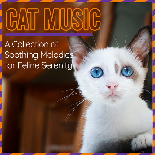 Cat Music - A Collection of Soothing Melodies for Feline Serenity