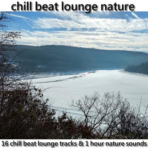 chill beat lounge nature (16 chill beat lounge tracks & 1 hour nature sounds)