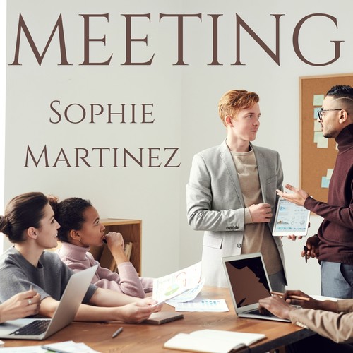 Meeting
