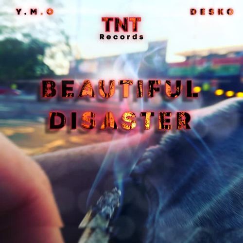 Beautiful Disaster