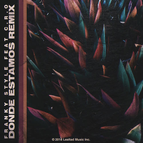 Donde Estamos (Remix) [Explicit]