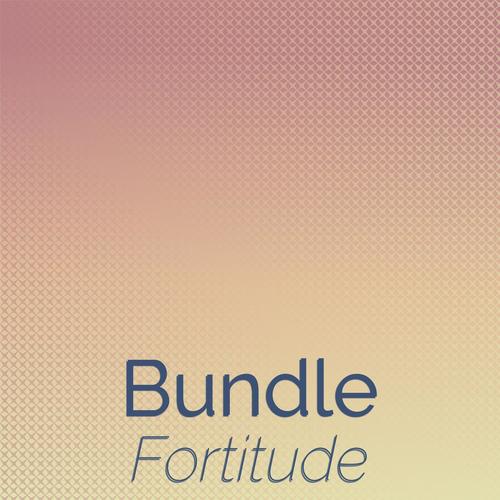 Bundle Fortitude