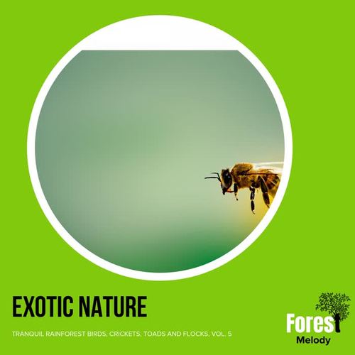 Exotic Nature - Tranquil Rainforest Birds, Crickets, Toads and Flocks, Vol. 5