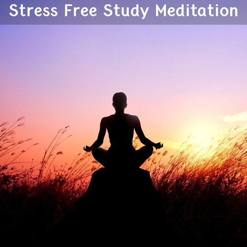 Stress Free Study Meditation