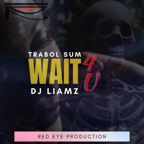 Wait 4 U (feat. Dj Liamz)