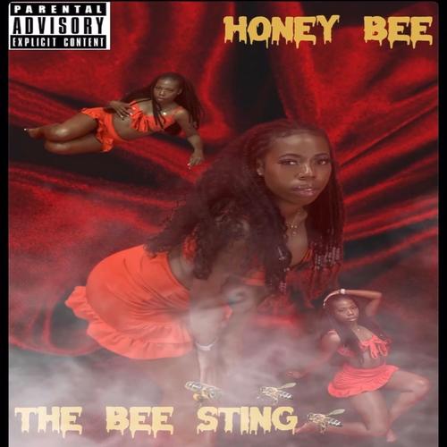 The BeeSting (Explicit)