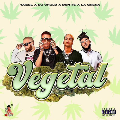 Vegetal (Explicit)