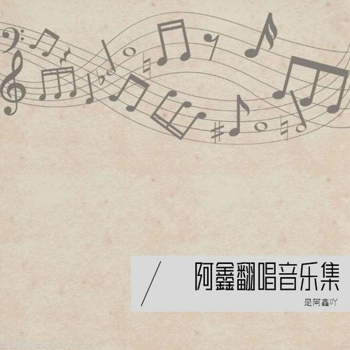 阿鑫翻唱音乐集