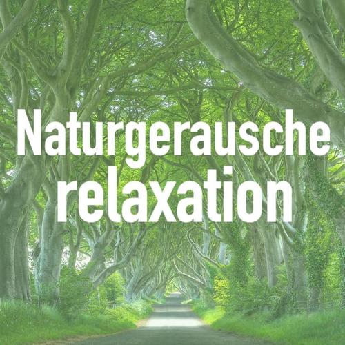 Naturgerausche Relaxation - Wellness Kurzurlaub mit Klavier, Sanfte Instrumentalmusik