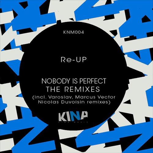 Nobody Is Perfect, The Remixes