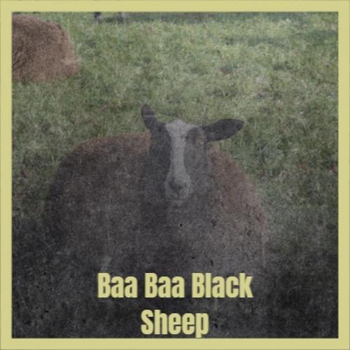 Baa Baa Black Sheep