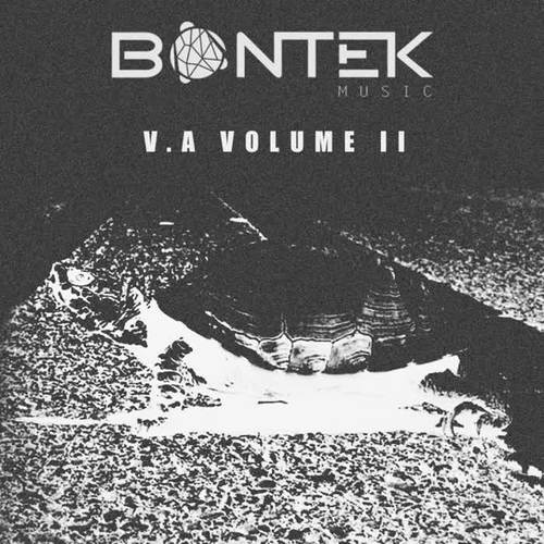 Bontek  V. A II