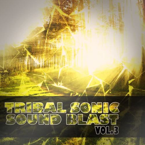 Tribal Sonic Soundblast,Vol.3