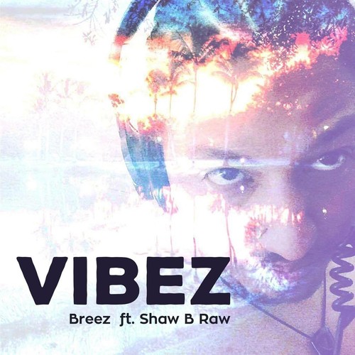 Vibez (feat. Shaw B Raw) [Explicit]