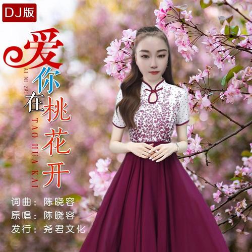 爱你在桃花开（DJ）