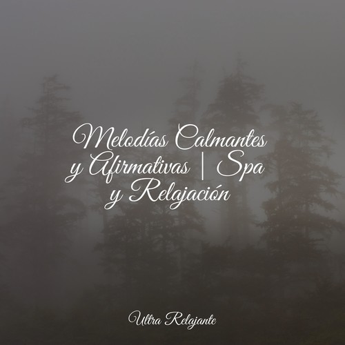 Melodías Calmantes y Afirmativas | Spa y Relajación