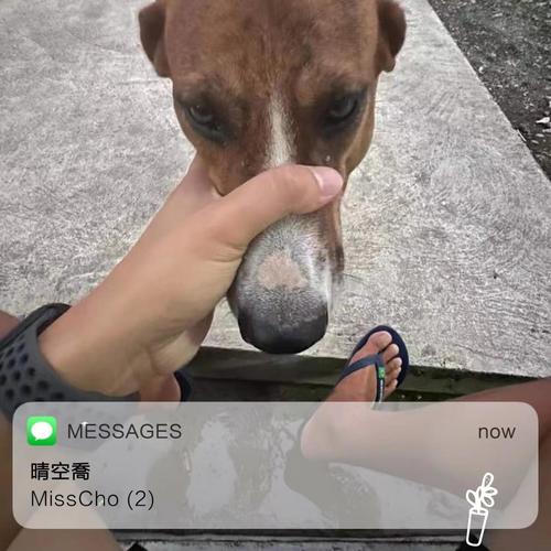 MissCho (2)