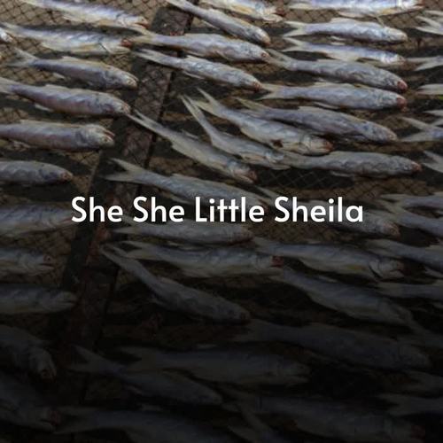 She She Little Sheila