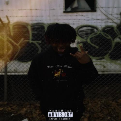 Ree Made Me Do It, Vol. 2 (Explicit)