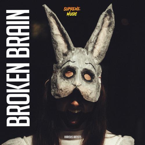 Broken Brain