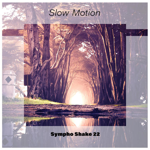 Slow Motion Sympho Shake 22