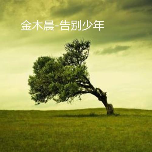 告别少年