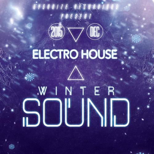 Electro House Winter Sound