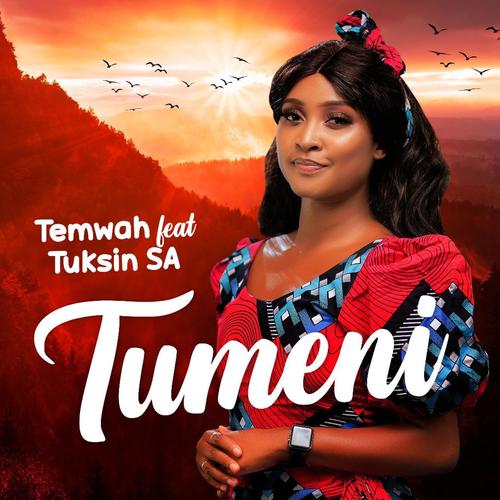 Tumeni (feat. TuksinSA)