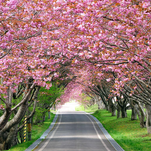 Spring