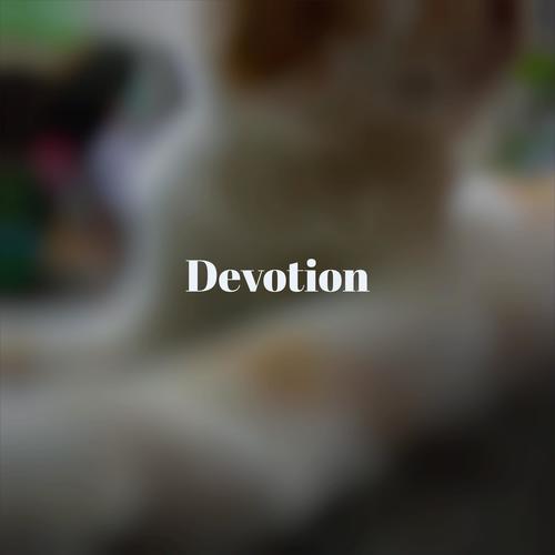 Devotion