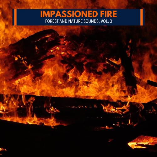 Impassioned Fire - Forest and Nature Sounds, Vol. 3