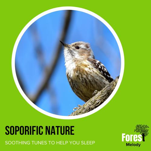 Soporific Nature - Soothing Tunes to Help You Sleep